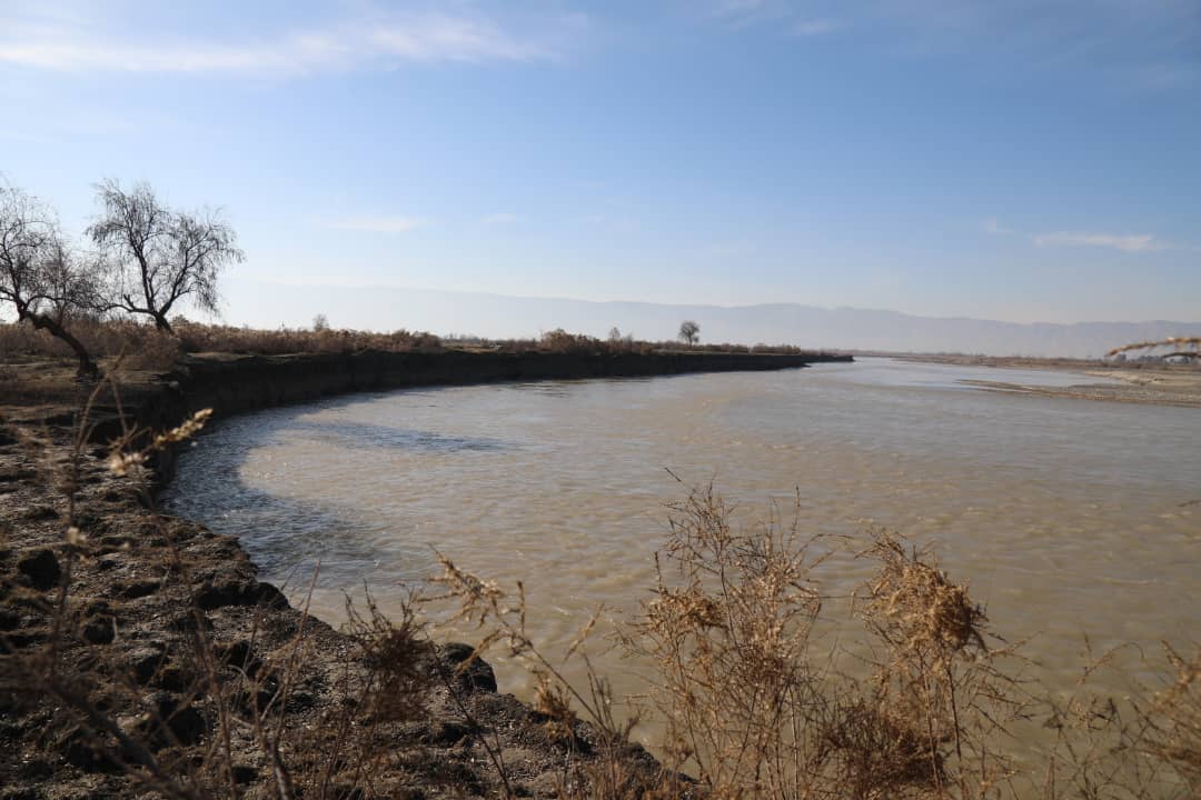 تصویر خبر